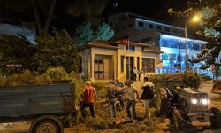 Çam ağacı kuvvetli rüzgara dayanamadı