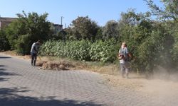 Nazilli Belediyesi’nden Sevindikli’de dört dörtlük çalışma