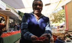 Dikenlerin arasında zahmetle toplanan kuşburnuna rağbet arttı