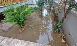Aydın'da beklenen yağmur başladı