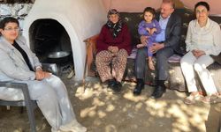 Koca çınara pasta kesildi