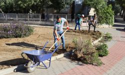 Nazilli Belediyesi, Cumhuriyet Mahallesi’ndeki peyzaj çalışmalarını tamamladı