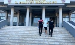 Aydın'da 4 iş yerinden hırsızlık yapan zanlı yakalandı