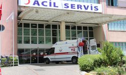 Kontrolden çıkan otomobil sulama kanalına çarptı: 1 ölü