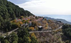 Aydın dağları sonbahara kucak açtı