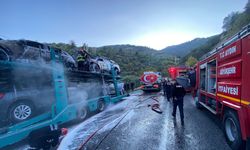 Bozdoğan'da araç yüklü tırda yangın.. Araçlar kullanılamaz hale geldi