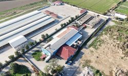 Nazilli Belediyesi Mezbaha Tesisleri yenilendi