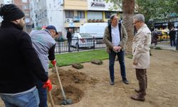 Başkan Ertuğrul Tetik sabah mesaisine sahada başladı