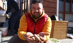 Aydın dağlarından gelen lezzet beşbıyık meyvesi tezgahlarda yerini aldı