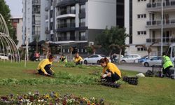Aydın rengarenk çiçeklerle bezeniyor