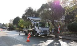 Aydın Büyükşehir Belediyesi kentin dört bir yanında çalışmalarına devam ediyor