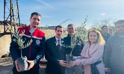 8 bin 700 adet fidan dağıtıldı