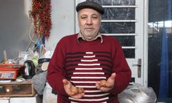 Çikolata tadında şifa kaynağı muşmula vatandaşlardan ilgi görüyor