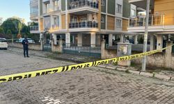 Aydın'da silahlı kavga: 1 yaralı