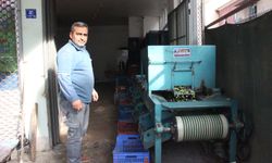 Hasat edilen zeytinler boyuna göre ayrılıyor, fiyatı kaliteyle şekilleniyor