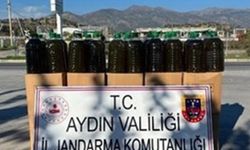 500 kilogram sahte zeytinyağı yakalandı