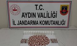 Şüpheli şahsın üzerinde bin 53 uyuşturucu hap ele geçirildi