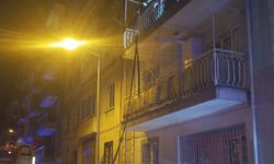Aydın'da ev yangını panikletti