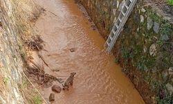 Kanala düşen köpeği itfaiye ekipleri kurtardı