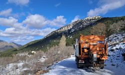 Aydın Büyükşehir Belediyesi’nden Paşa Yaylası’nda tuzlama çalışması