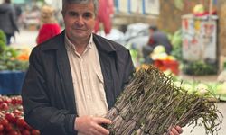 Nazilli’de baharın habercisi eniç tezgâhlara indi