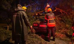 Önce duvarı yıktı sonra otomobilin üzerine devrildi: 2 yaralı