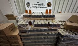 Aydın'da sahte gıda operasyonu