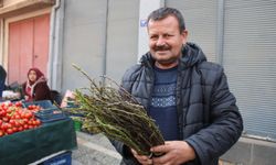 Aydın'ın yöresel lezzeti kedirgen ve sarmaşıklar pazar tezgahlarını süslemeye başladı