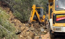 Karacasu'da aşırı yağışlar sonrası toprak kaydı, ağaçlar devrildi
