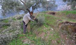 Film sahnesi değil gerçek hayat