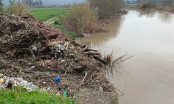 Tarihi taş köprü temizlendi, doğaseverler "yüzer bariyer" istedi