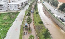 Nazilli Belediyesi yürüyüş yollarını bakıma aldı