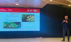 Aydın İnciri için kalite ve sürdürülebilirlik seferberliği