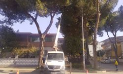 Nazillili muhtardan Başkan Çerçioğlu’na hizmet teşekkürü