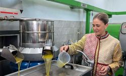 Nazilli’nin altın damlası.. Kaymakam Kan zeytinyağı yolculuğunu inceledi