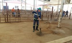 Nazilli Hayvan Pazarı 7 ay sonra yeniden açılıyor