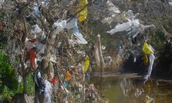 Aydın’ın içme suyunu karşılayacak Sarıçay’da kirlilik alarmı