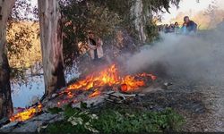 Doğaseverler kanal kenarında çıkan yangını söndürdü