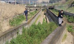 Nazilli Belediyesi sivrisinek ve haşereyle mücadeleye kesintisiz devam ediyor