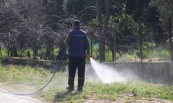Bozdoğan bayrama hazırlanıyor