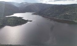 Aydın'da yağmurlar bereket getirdi, barajlar canlandı