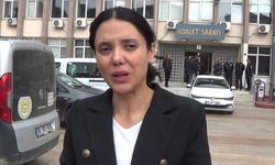 Özlüer kardeşlerin katil zanlısının avukatından dikkat çeken iddialar