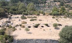 Aydın'ın "öksüz" antik kenti Amyzon, gün yüzüne çıkmayı bekliyor