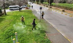 Büyükşehir ekiplerinden Nazilli yürüyüş yolunda bakım çalışması