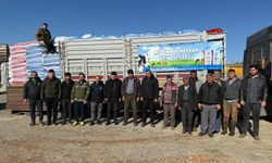 Başkan Çerçioğlu'ndan Karacasu'da küçük üreticilere yem desteği