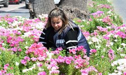 Başkan Çerçioğlu’ndan turizmin göz bebeği Didim’de Ramazan Bayramı öncesinde hummalı çalışma