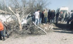 Kontrolden çıkan otomobil ağaçlara ok gibi saplandı: 2 ölü, 1 ağır yaralı