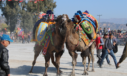 Deve güreşi takvimi belli oldu