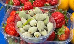 Nazilli Perşembe Pazarında baharın habercisi çağla tezgahlarda