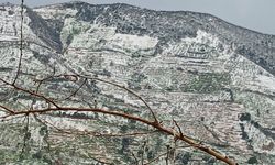 Atça’da dolu yağışı şaşkına çevirdi! Dolu yolları ve tarlaları beyaza kapladı